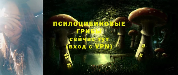 скорость Алексин