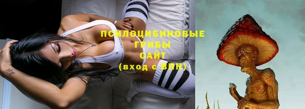 мяу мяу мука Алексеевка