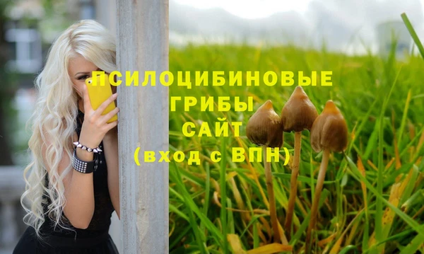 мяу мяу мука Алексеевка