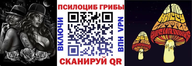 Псилоцибиновые грибы мухоморы  Ардатов 